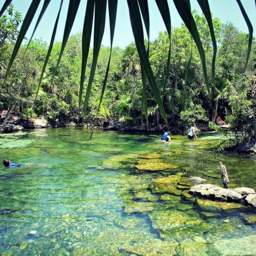 Cenote Jardin del Eden