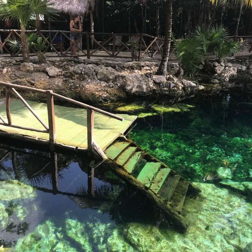 Cenotes Casa Tortuga