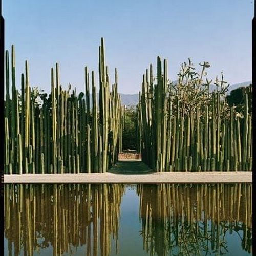 Jardín Etnobotánico