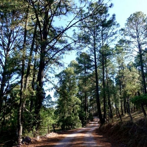 Rancho Alegre Pajarete, Carretera de Atemajac a Ecole