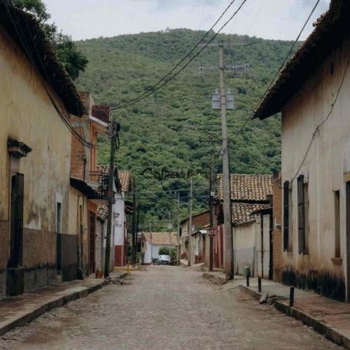 Mascota Town