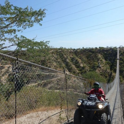 Wild Canyon Adventures