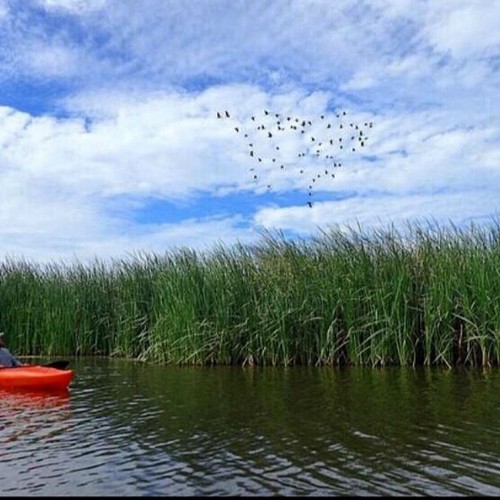 Huerta La Palma Oasis